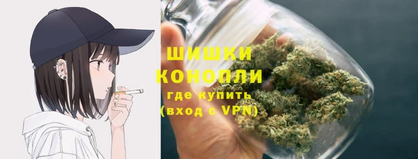 дживик Майский