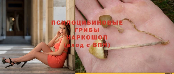 стаф Магадан