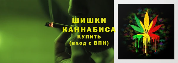 mdpv Мегион