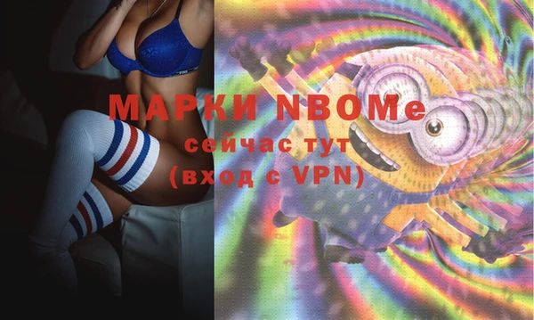 дживик Майский