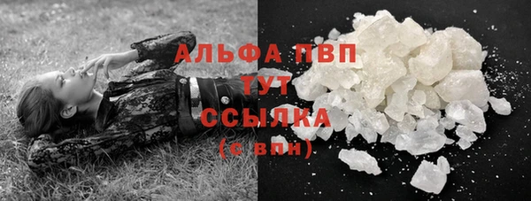 дживик Майский