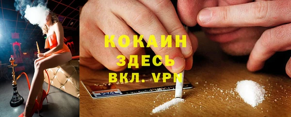 дживик Майский