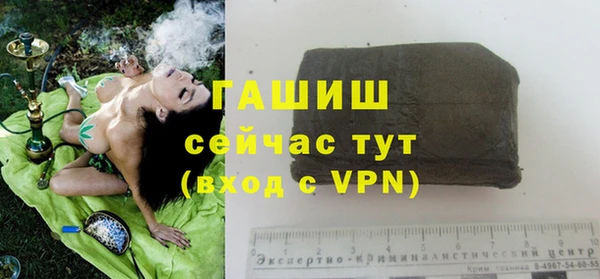 дмт Магас