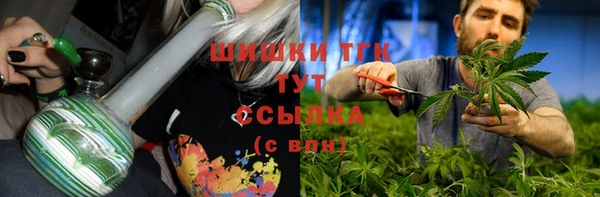крисы Медвежьегорск