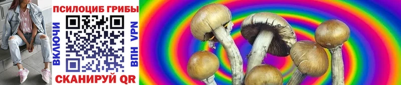 Псилоцибиновые грибы GOLDEN TEACHER  Миллерово 