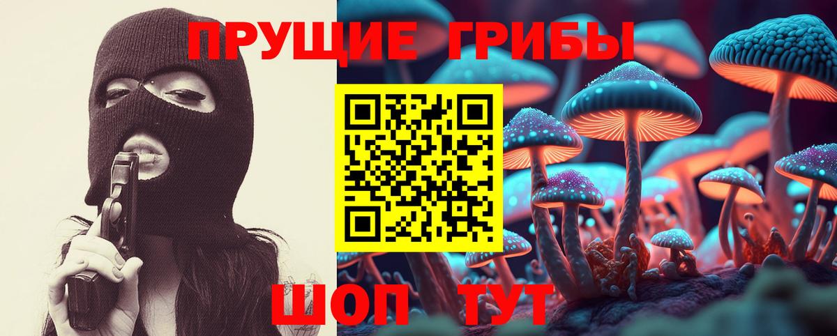 Галлюциногенные грибы Psilocybe Миллерово